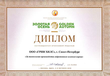 Диплом «Золотая осень»
